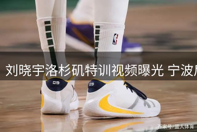 刘晓宇洛杉矶特训视频曝光 宁波后卫休赛期苦练基本功