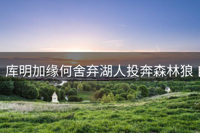 库明加缘何舍弃湖人投奔森林狼 自由市场还有哪些待签球员？