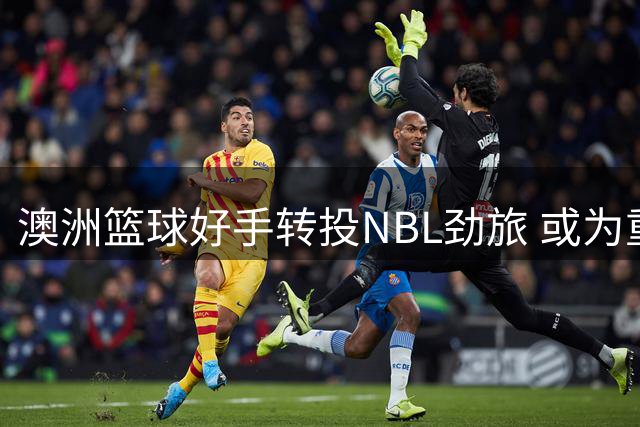 澳洲篮球好手转投NBL劲旅 或为重返NBA铺路