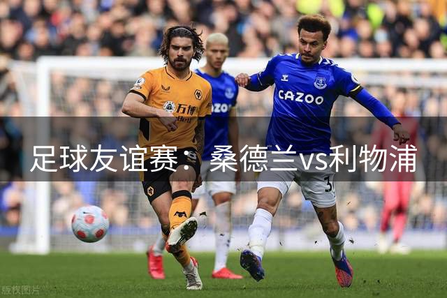 足球友谊赛：桑德兰vs利物浦